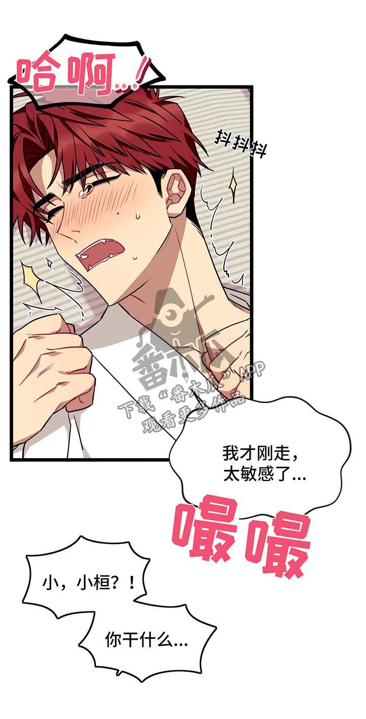 愿望拼音漫画,第50章：去床上4图