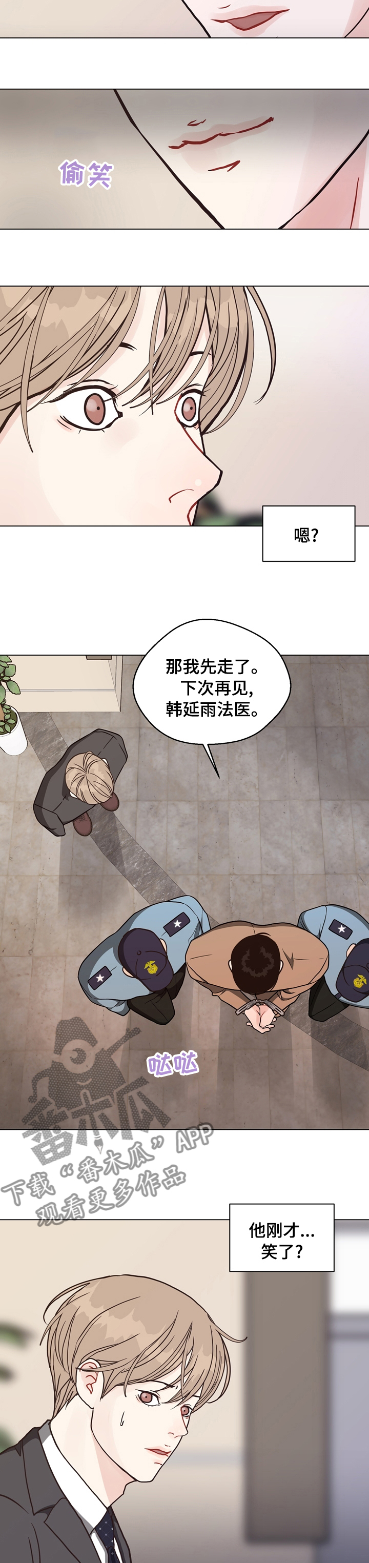 法医秦明解说漫画,第94章：【第二季】冲动3图
