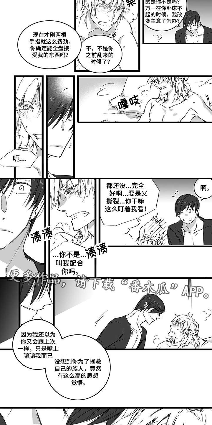 落魄王子和他的老婆们漫画,第23章：反应2图