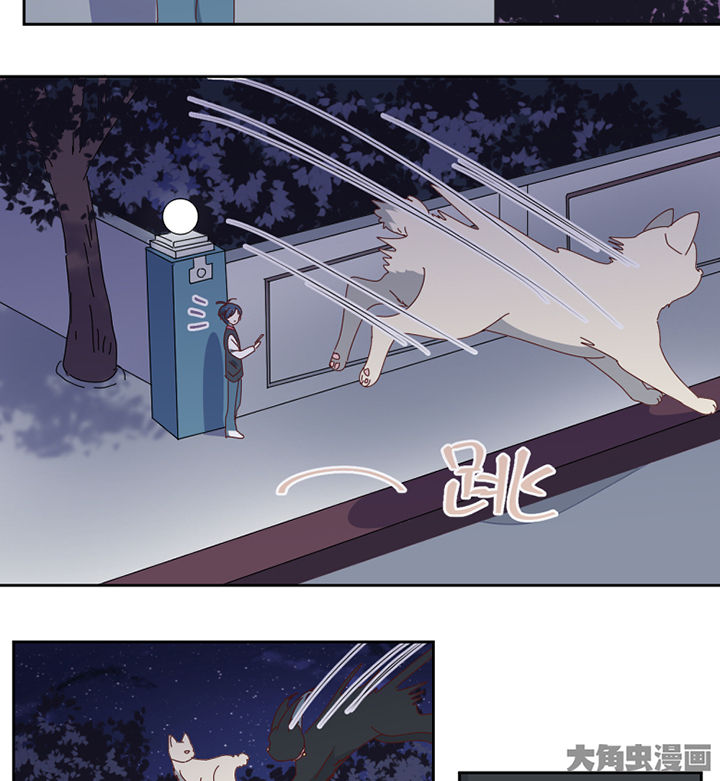 孟婆的碗男版撕心裂肺完整版漫画,第77章：孟婆会议3图