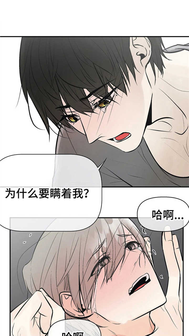 劣质奶油漫画,第8章：激烈1图