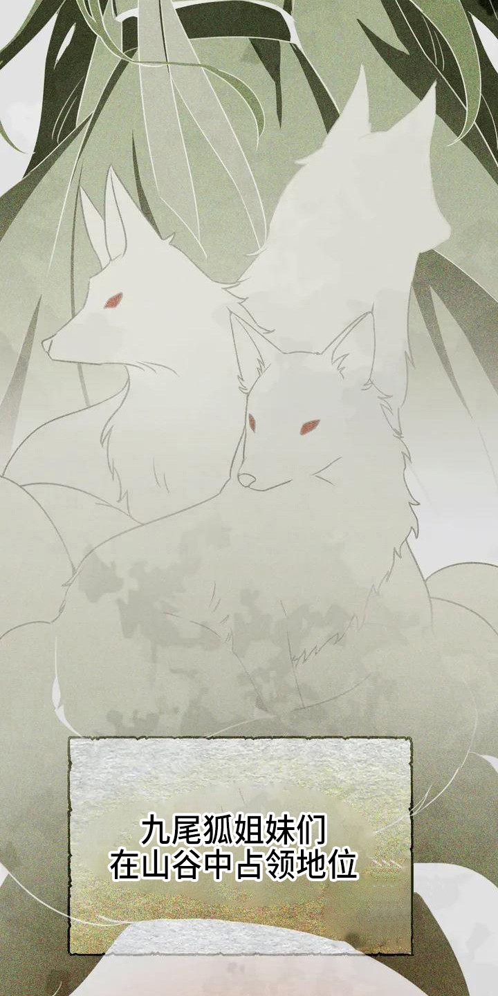 狐仙之子第二季漫画,第1章：九尾狐3图