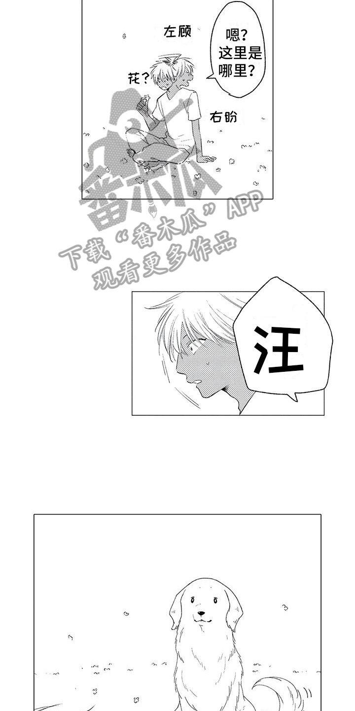 可爱的小傻瓜图片漫画,第13章：后悔3图