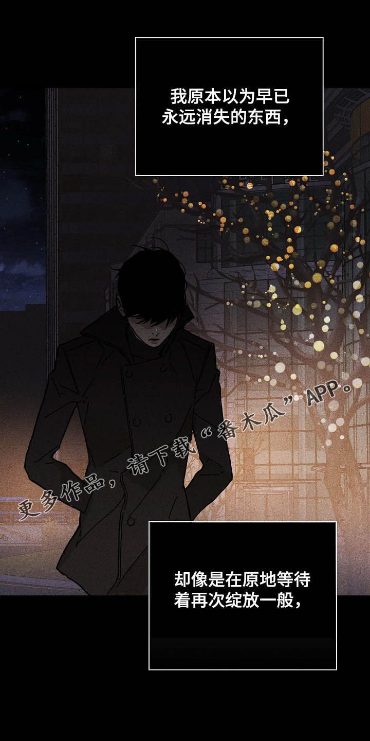 与男人结婚漫画免费观看漫画,第51章：表白心意1图