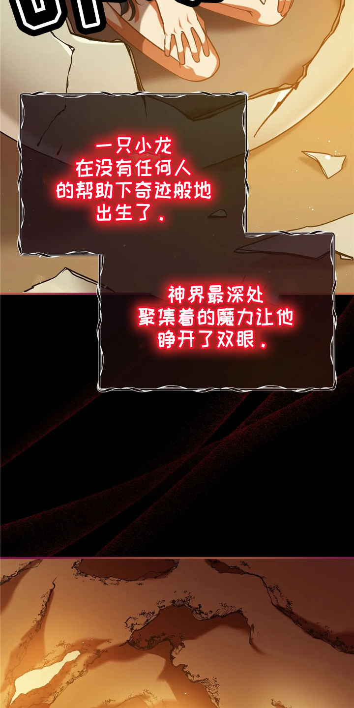 黄昏的清兵卫宫泽理惠漫画,第58章：龙4图