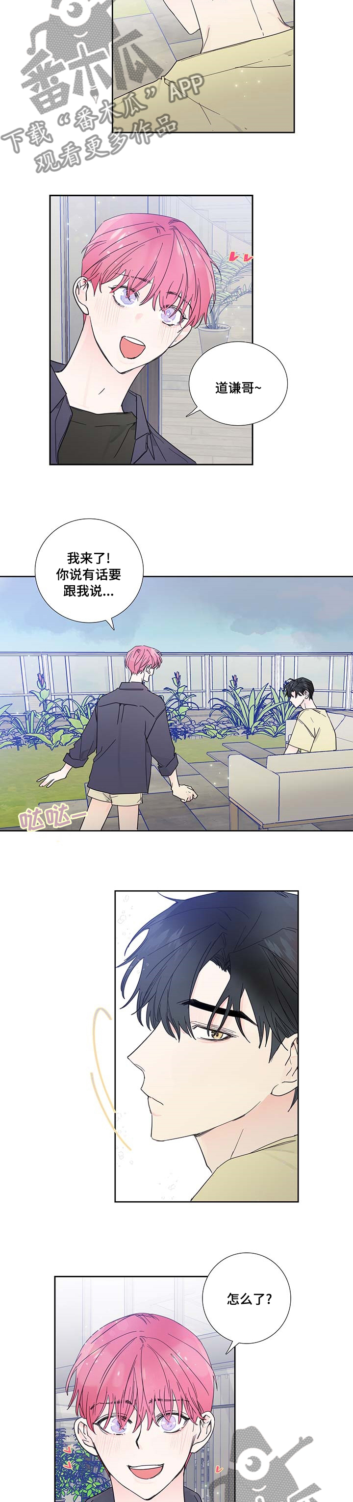 偶像活动最新的消息漫画,第67章：到此为止吧5图