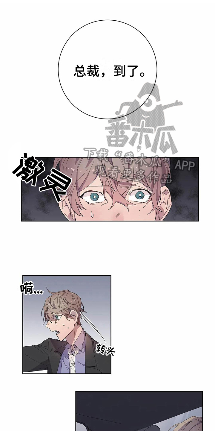 恋爱专家漫画,第17章：商量1图