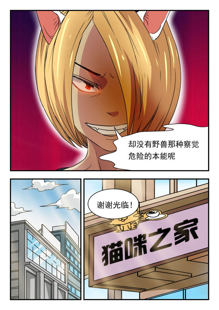 妖书录在线下拉式阅读漫画,第96章：3图
