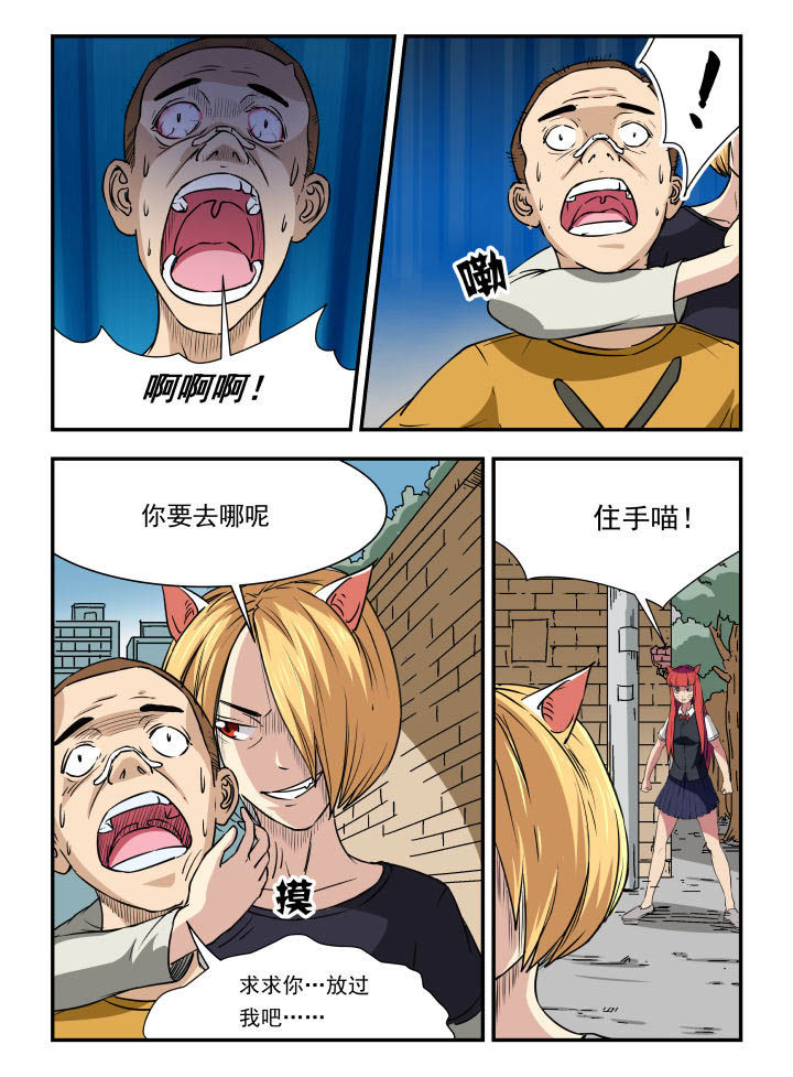 妖书录在线下拉式阅读漫画,第97章：5图