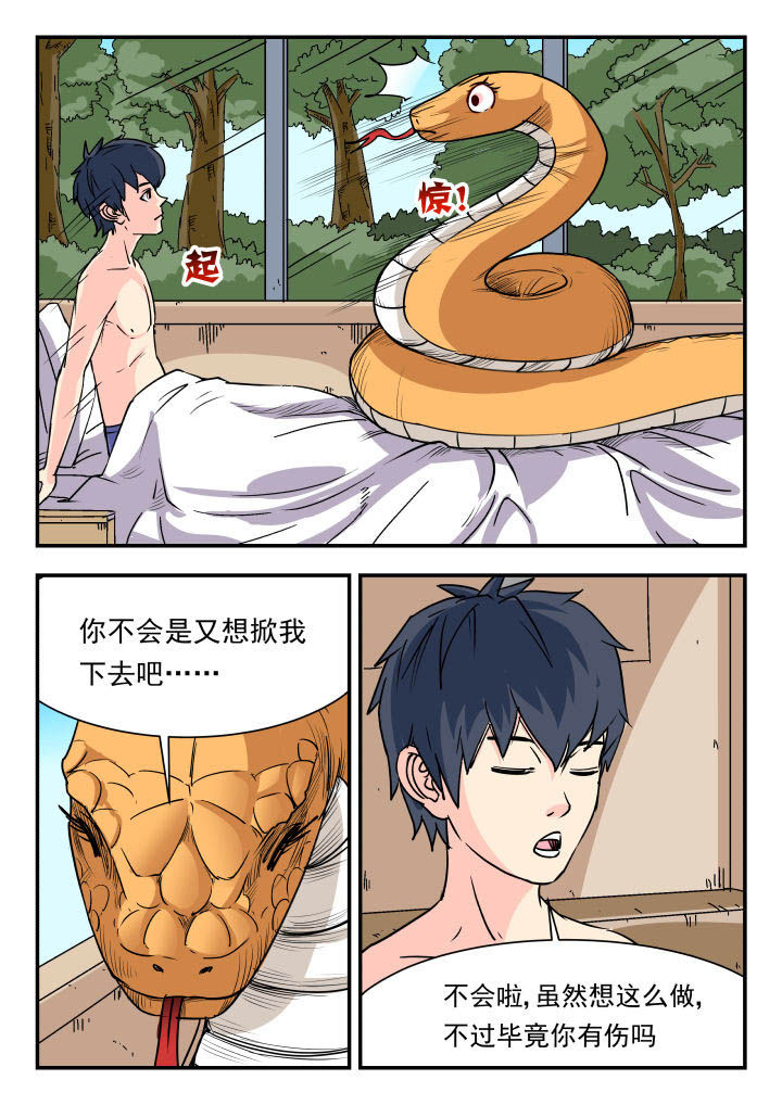虎鹤妖书录电视剧漫画,第84章：3图