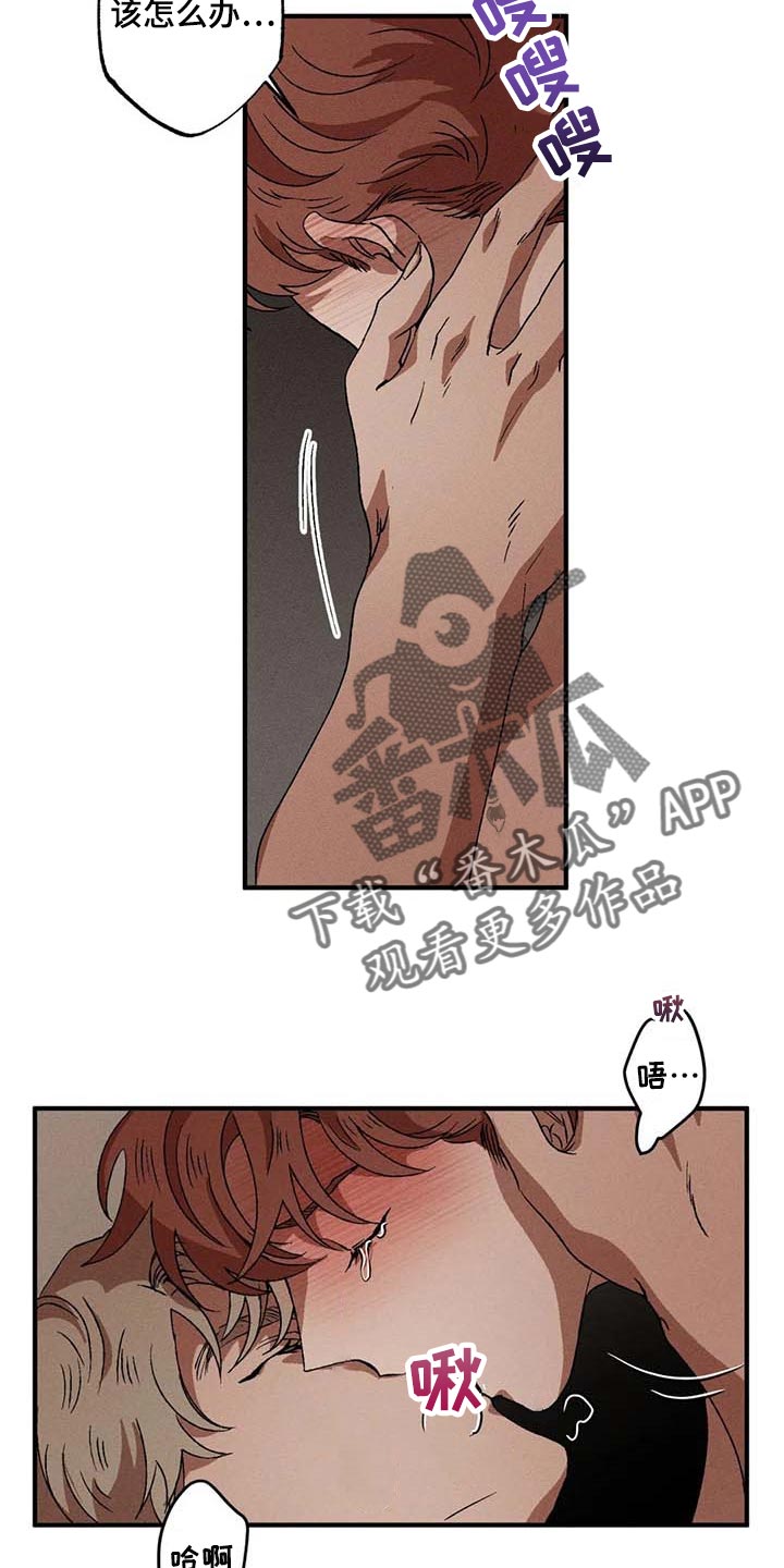 多重线性回归分析结果解读漫画,第48章：安心2图