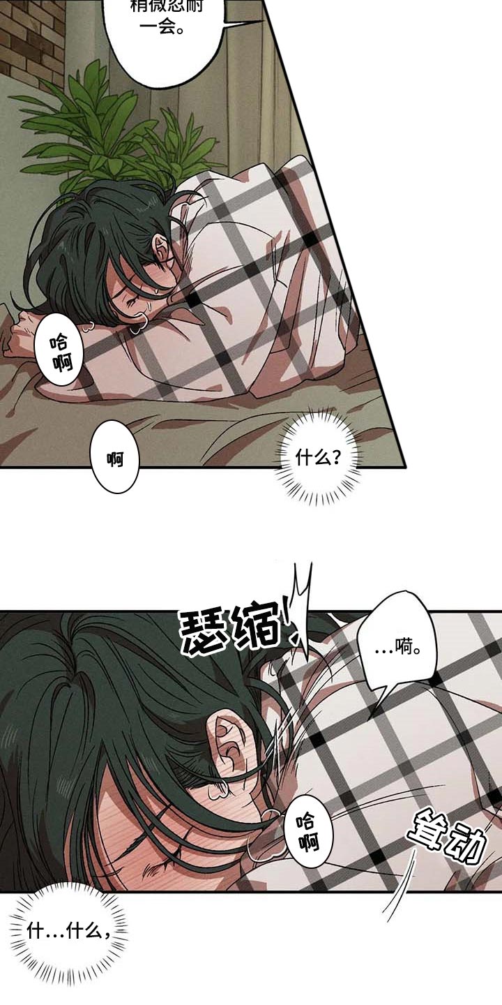 多重曝光的6个要点漫画,第63章：理想型5图