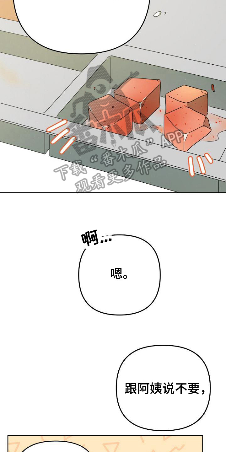 梦中的浪漫漫画,第30章：明显3图