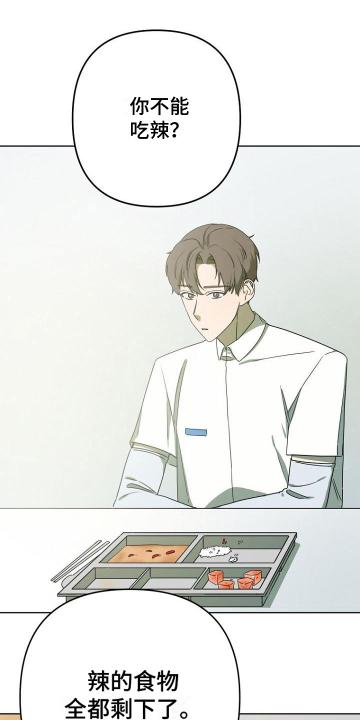 梦中的浪漫漫画,第30章：明显2图