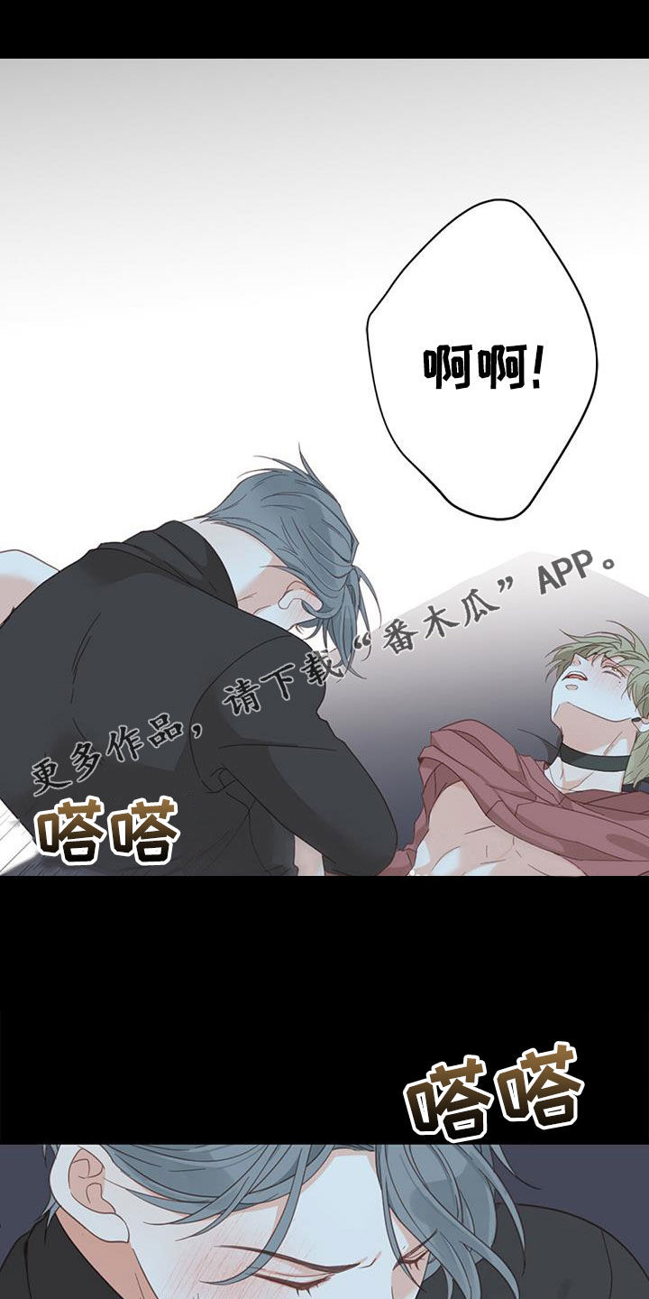 虚实交替类似漫画漫画,第80章：【番外】变得幸福1图