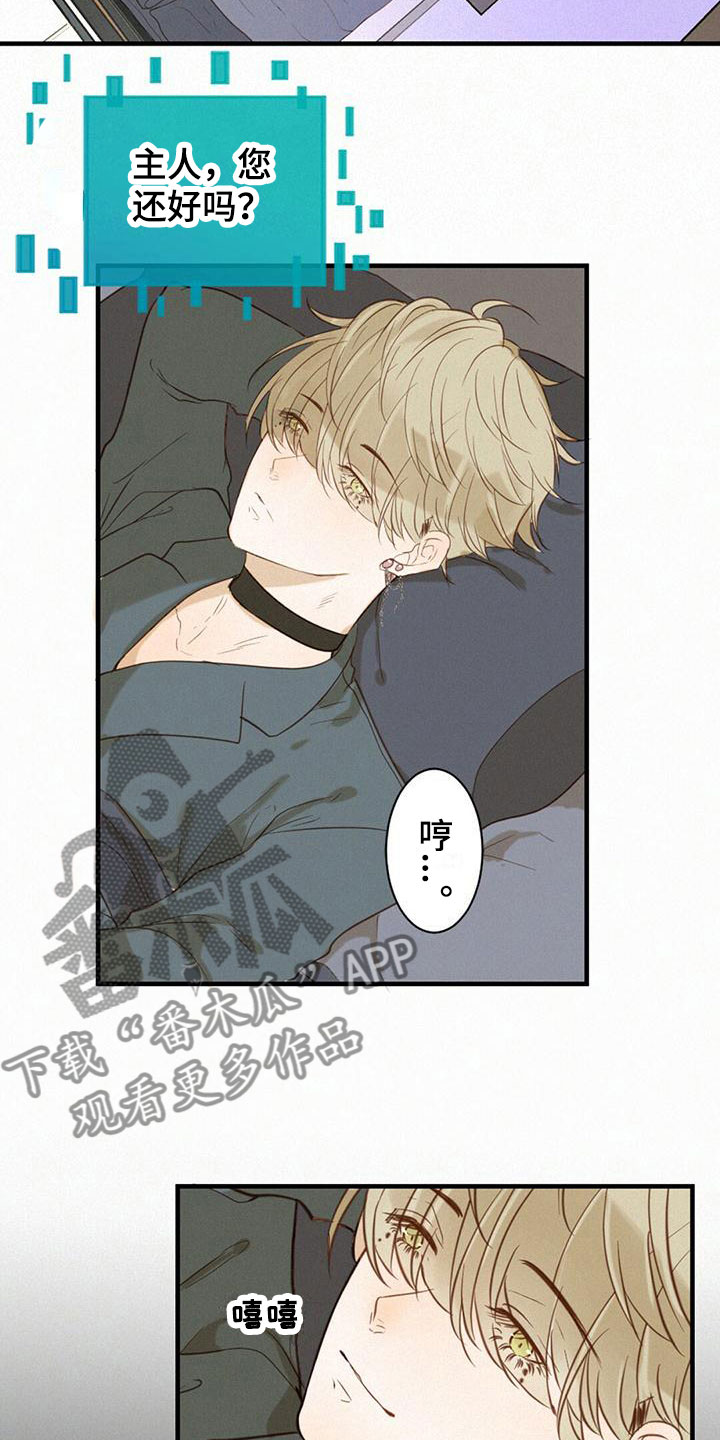 虚实夹杂证的主要症状漫画,第6章：计划3图