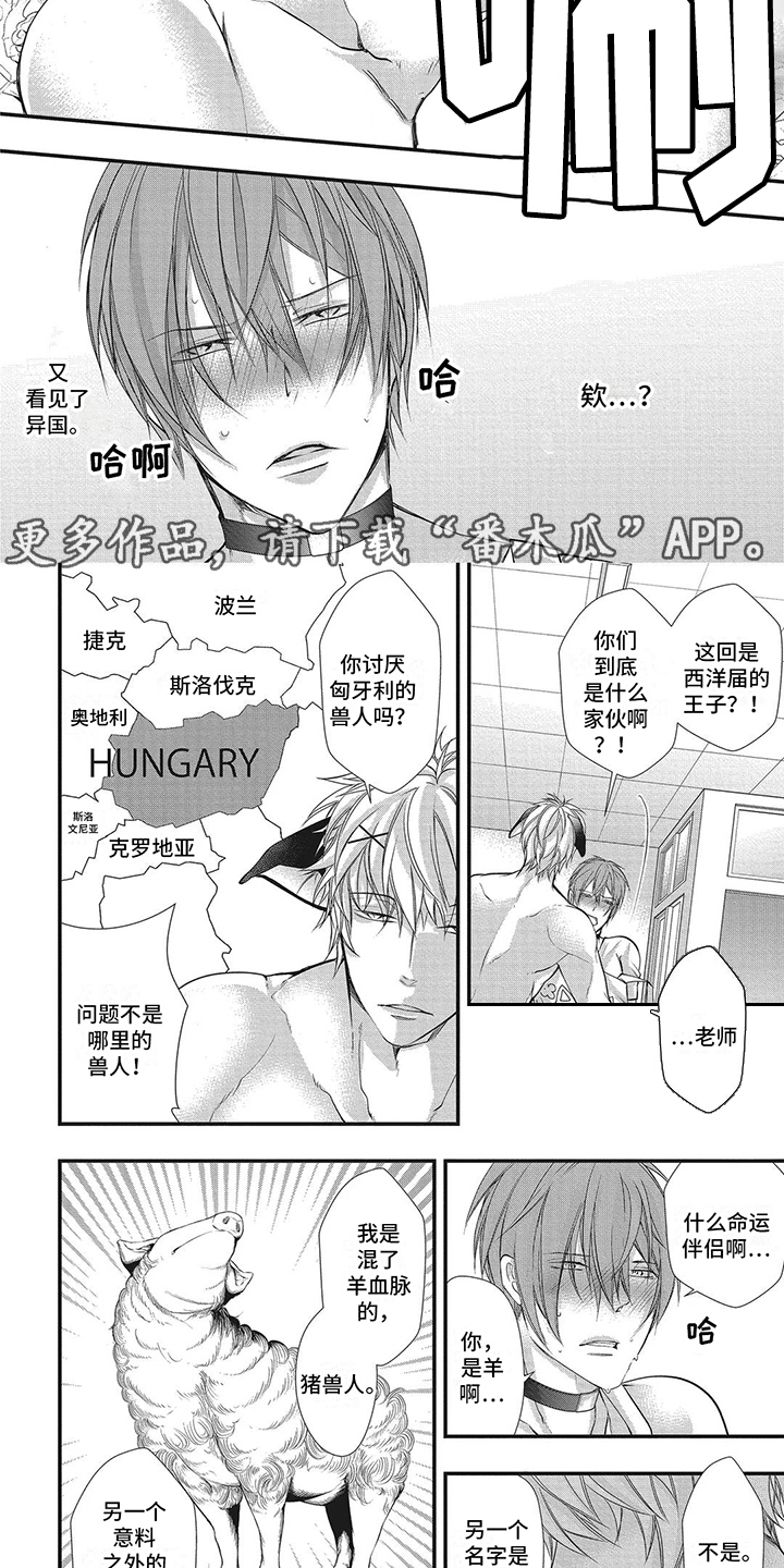 猪猪侠之光明守卫者漫画,第9章：争夺5图