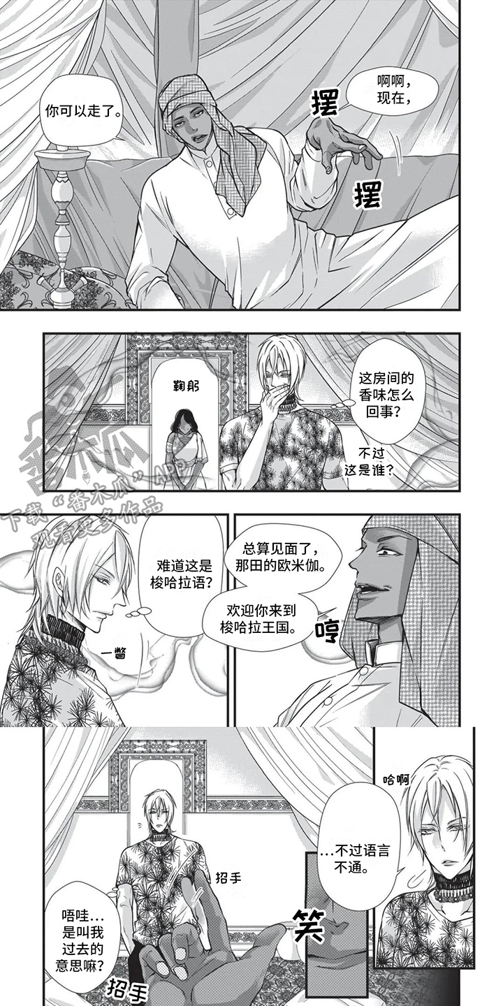 猪猪侠之超星五灵侠第二季漫画,第24章：下马威1图