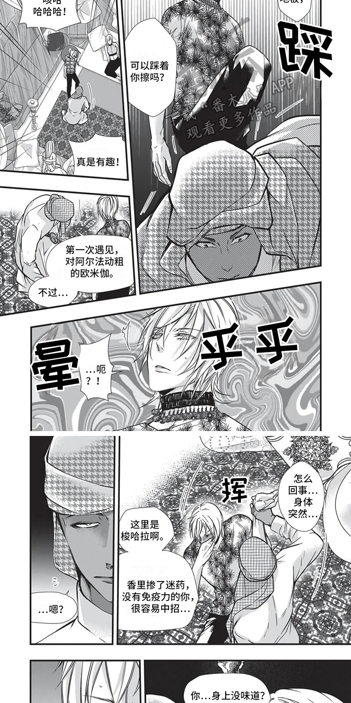 猪猪侠之超星五灵侠第二季漫画,第24章：下马威4图