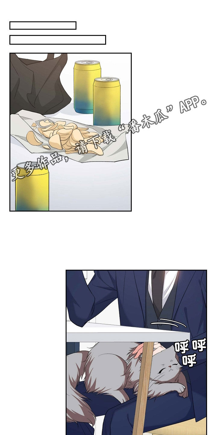 我们的婚礼英文翻译漫画,第101章：初见1图