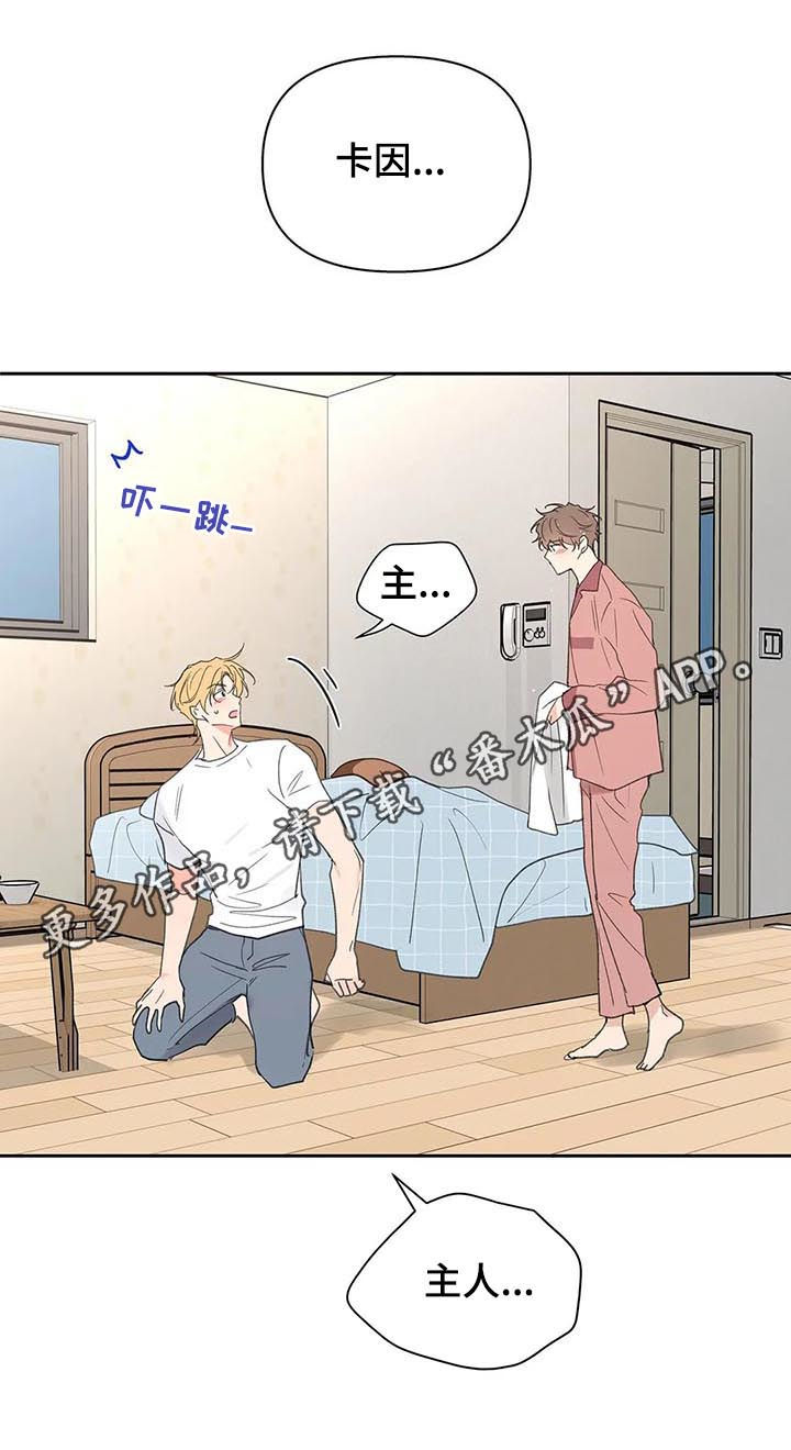 学院代表什么漫画,第110章：不会说谎1图