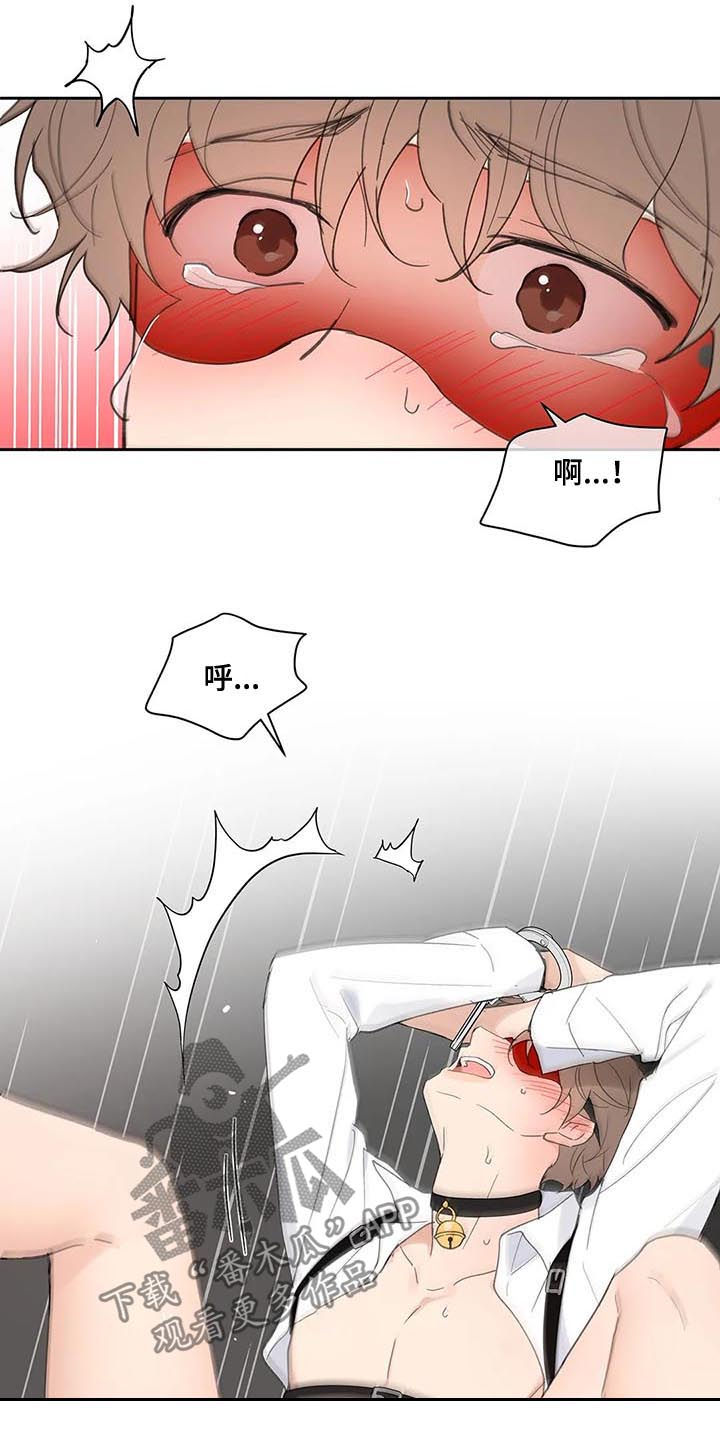 学院代码052漫画,第65章：你需要的5图