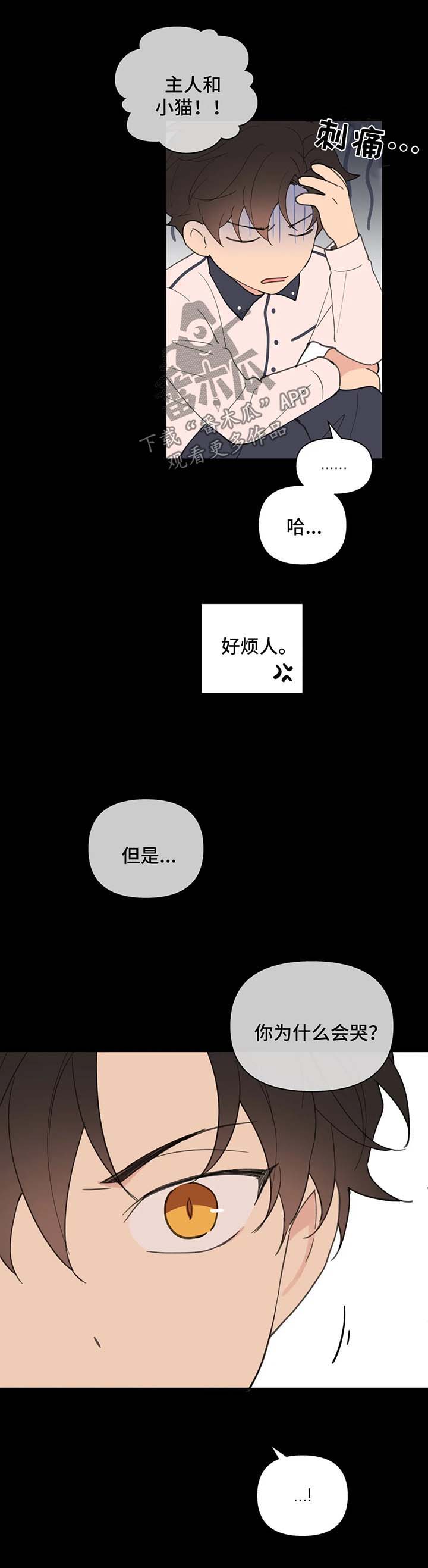 哈利波特四个学院代表什么精神漫画,第78章：喜欢漂亮的3图