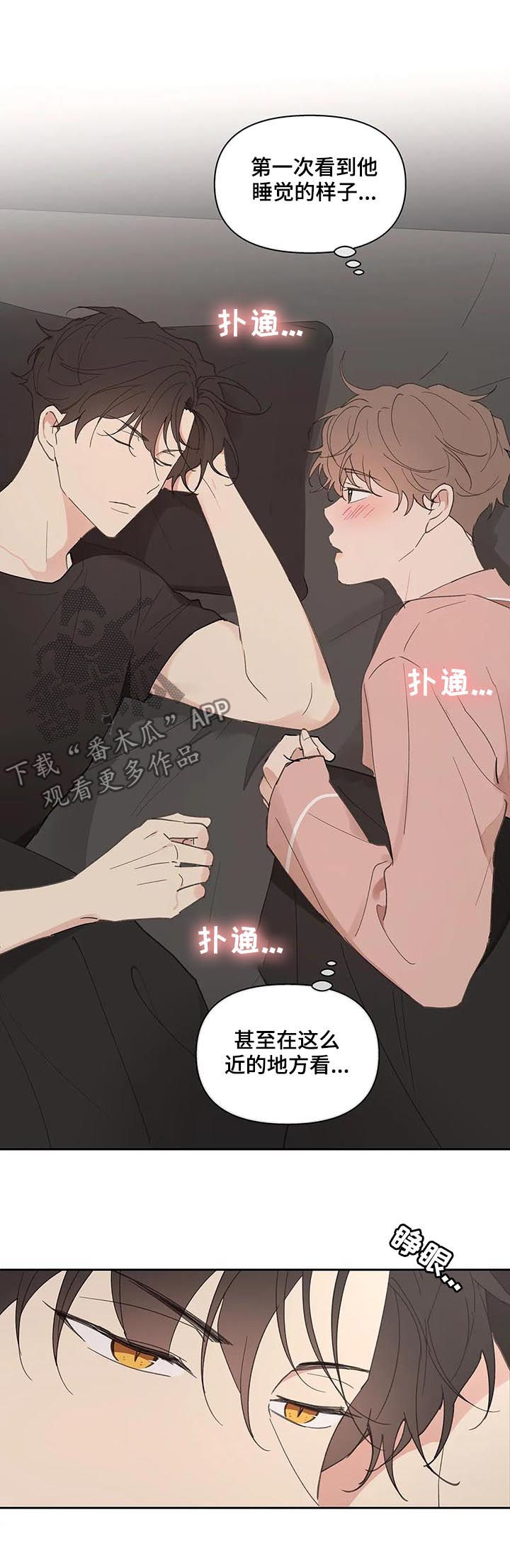 学院卡特漫画,第67章：回家4图