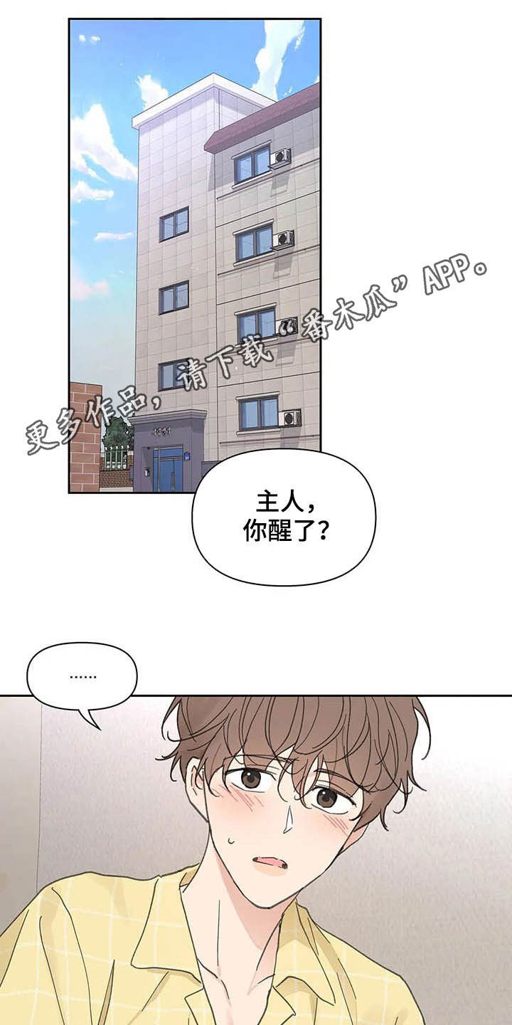 学院代表什么漫画,第139章：【番外】重拳1图