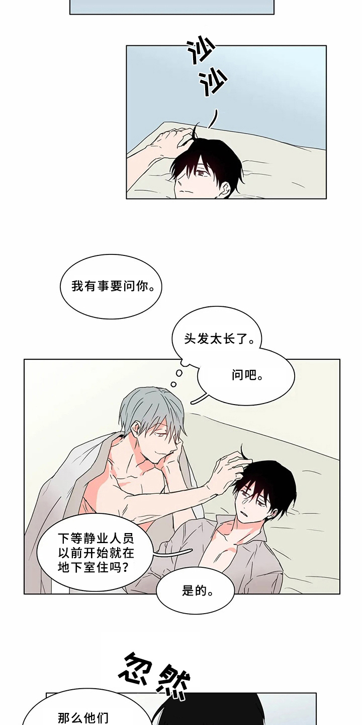 糟糕的英文单词漫画,第64章：少爷观察记：该做的事4图