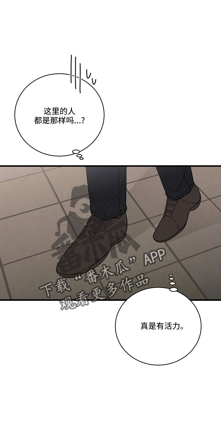 黎明前夕是什么时间段漫画,第26章：笨蛋一样1图