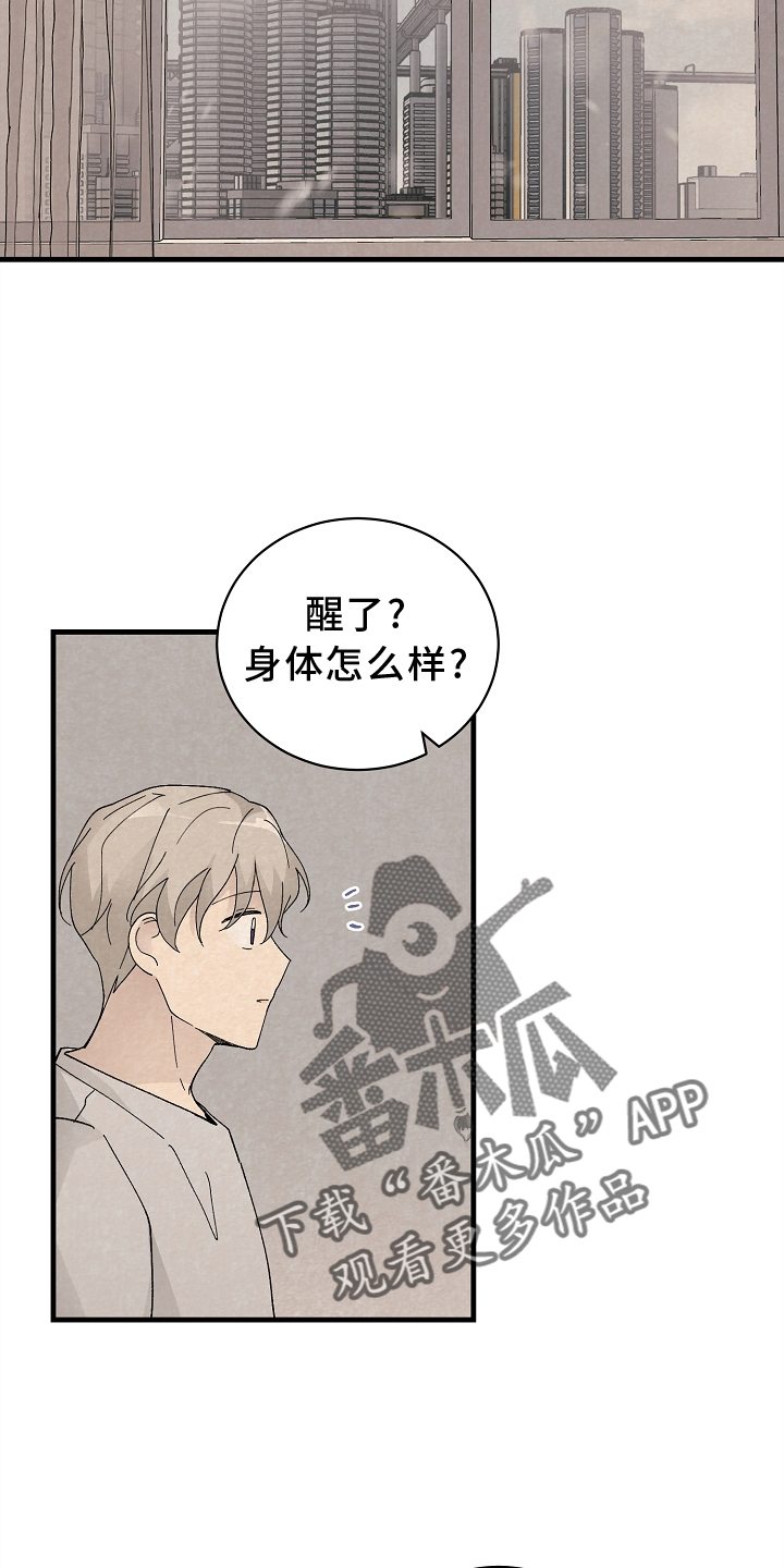 黎明前夕最黑暗漫画,第62章：确认2图