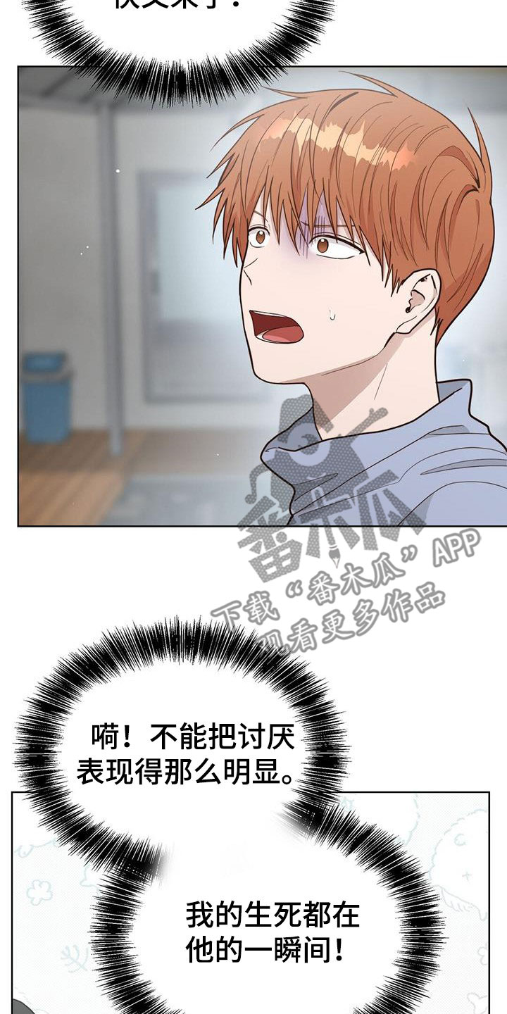 小说攻略剧情合集漫画,第55章：不准吵架3图