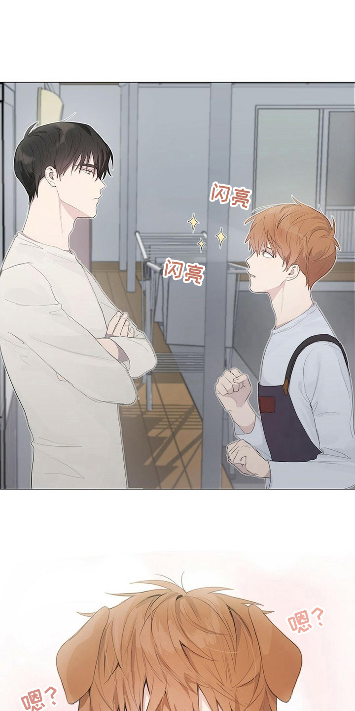 小说攻略失败后摄政王妃死遁了漫画,第8章：指责1图