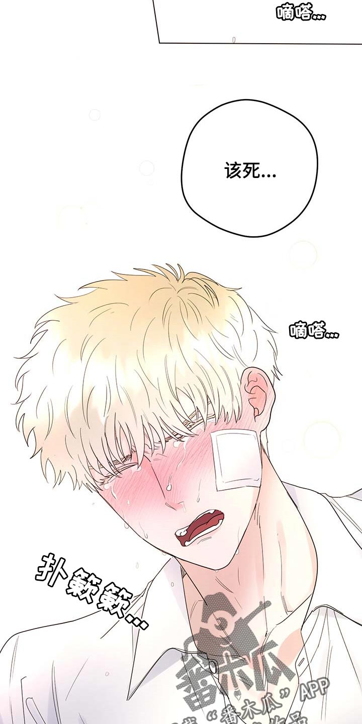 主人忘了关空调猫咪冻得盖毯子漫画,第99章：【第二季】我相信你们3图