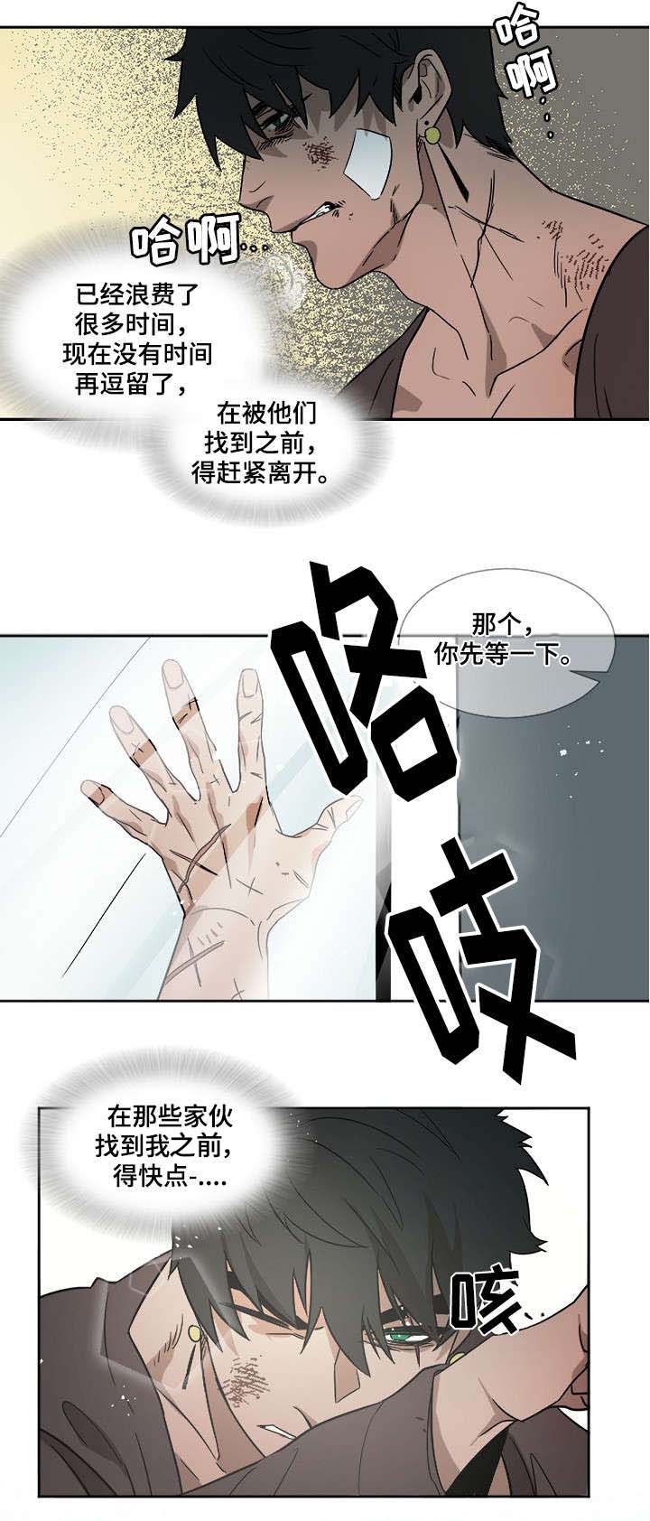 权位守护小说漫画,第2章：重伤5图