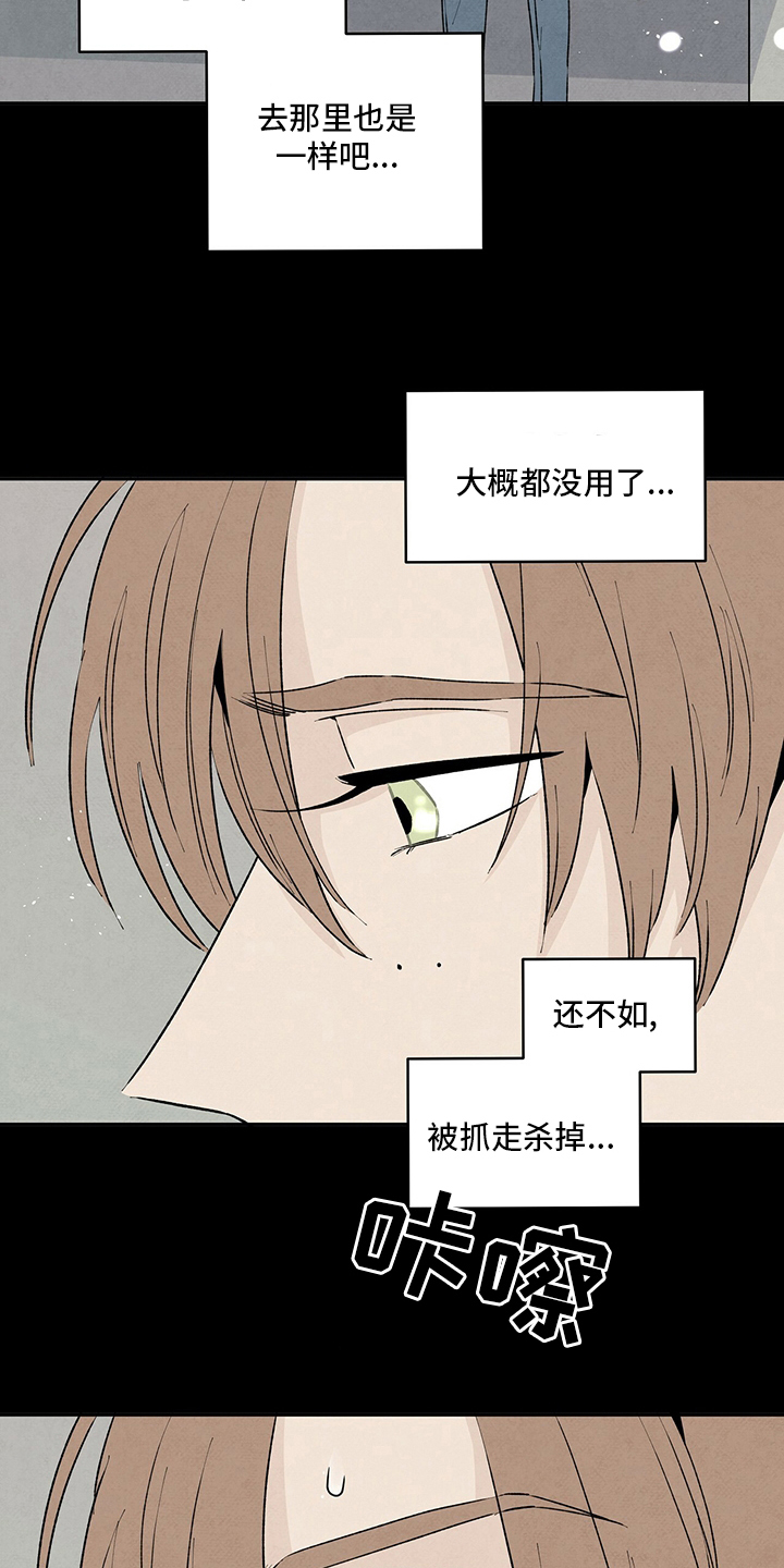 丹尼尔和劫匪飙车漫画,第76章：玫瑰2图