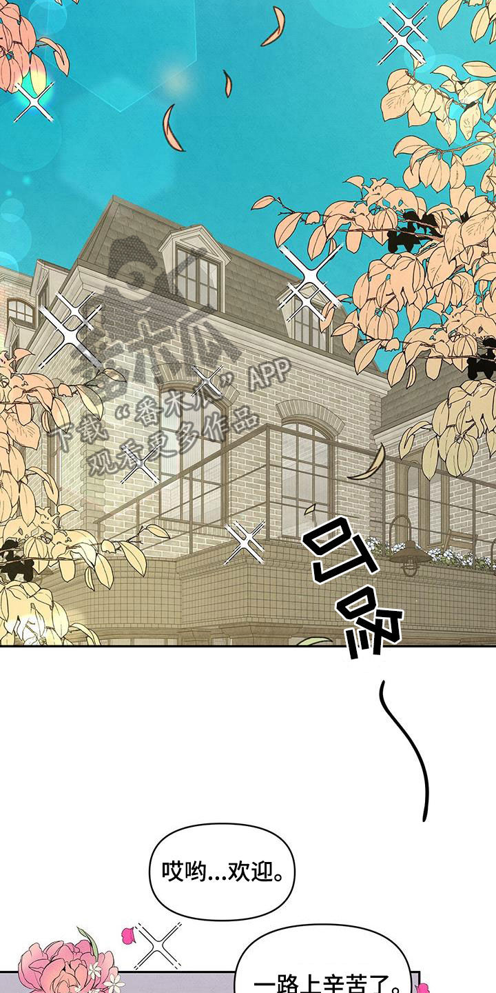 纽约黑帮丹尼尔漫画,第145章：【番外】做客4图