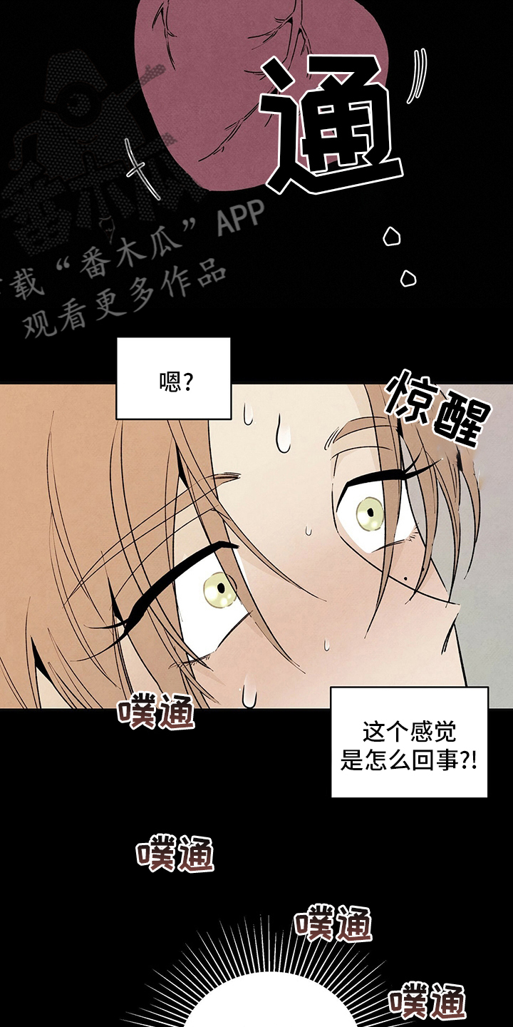 纽约黑帮丹尼尔漫画,第89章：乞丐5图