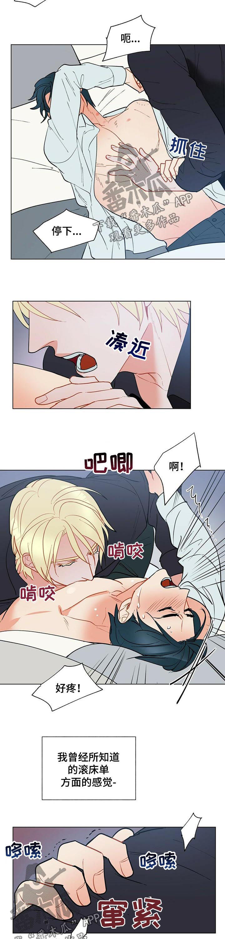 黑渡鸦幼鸟价格漫画,第54章：完全不同2图