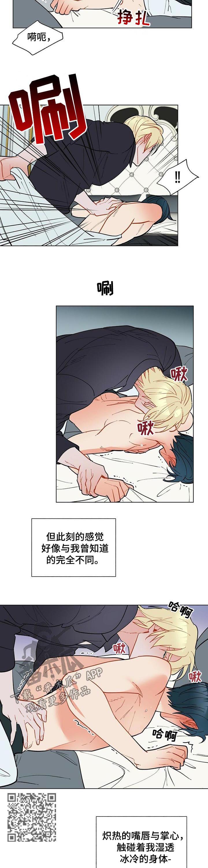 黑渡鸦幼鸟价格漫画,第54章：完全不同4图