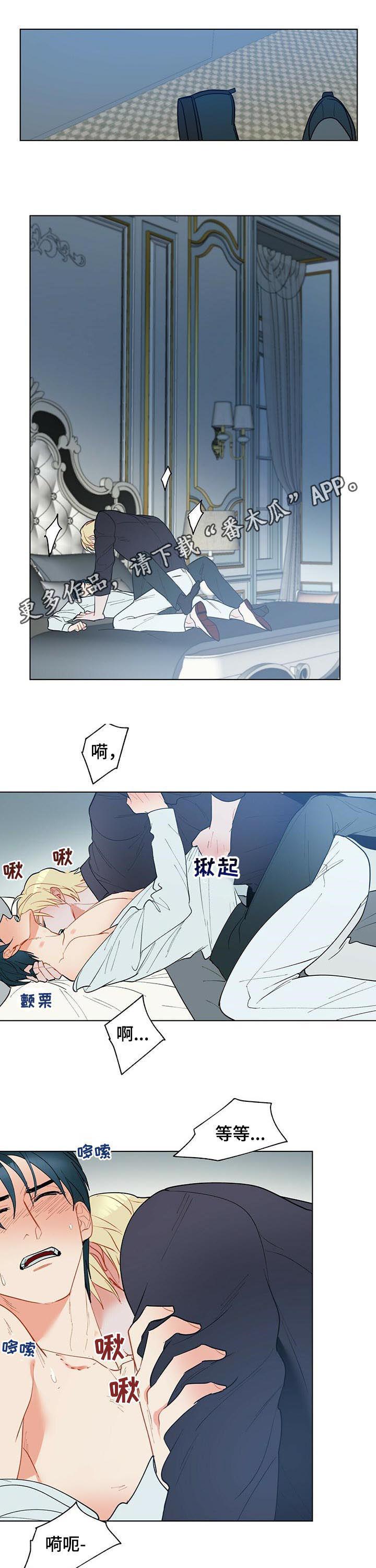 黑渡鸦幼鸟价格漫画,第54章：完全不同1图