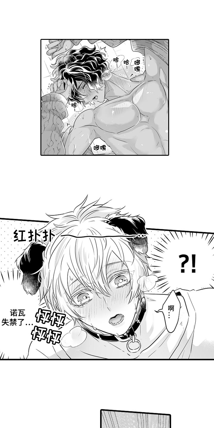 森林中的熊宝宝漫画,第32章：幻想破灭1图