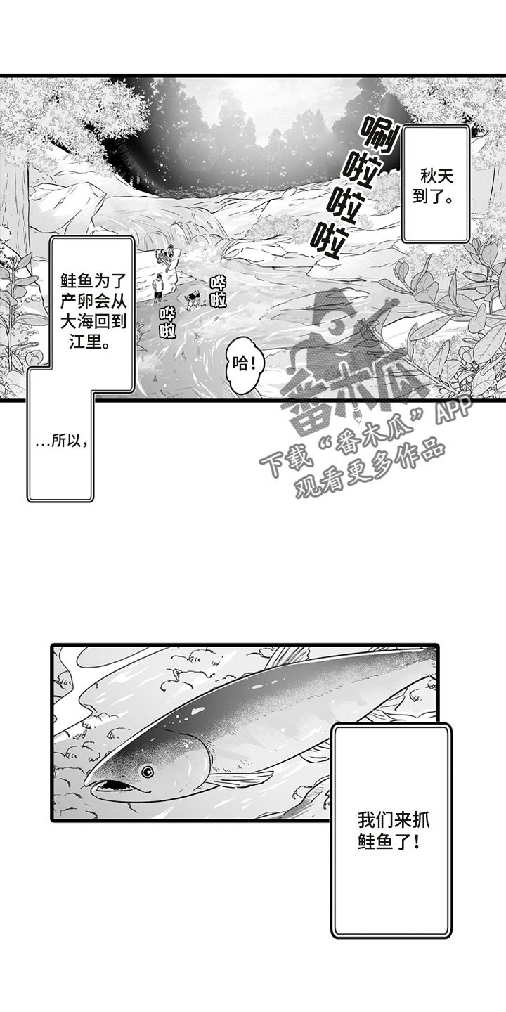 森林中的熊先生正在冬眠中漫画,第38章：抓鲑鱼1图
