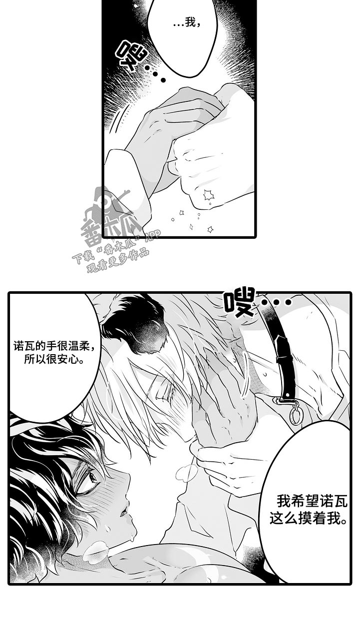 森林中的熊先生冬眠中未增减动漫漫画,第71章：一起过冬5图