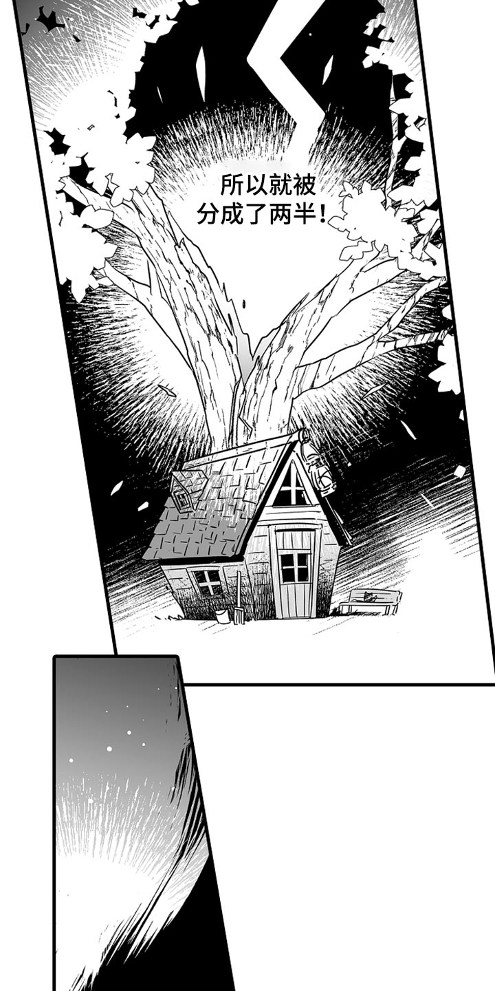森林中的熊冬眠动漫完整版漫画,第23章：保护5图