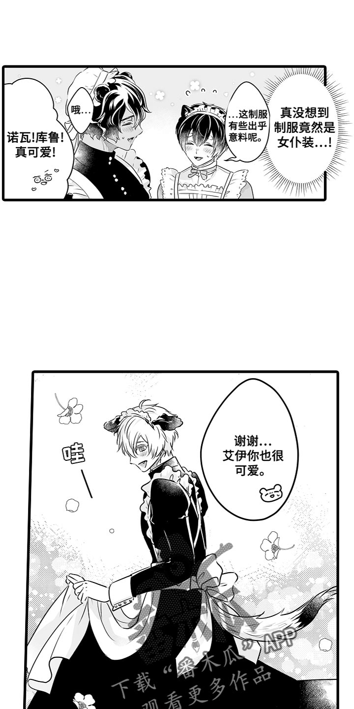 森林中的熊先生漫画免费观看漫画,第54章：橡子咖啡营业1图