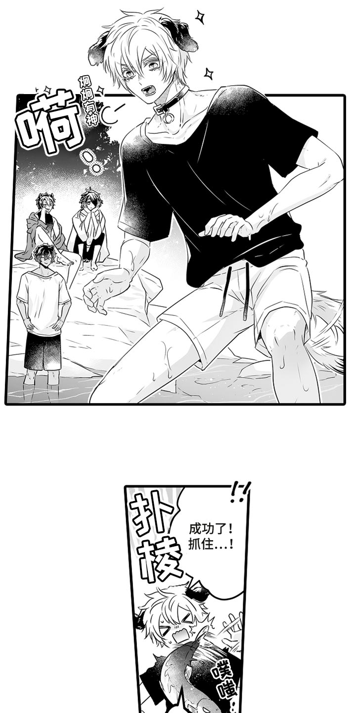 森林中的熊先生正在冬眠中漫画,第38章：抓鲑鱼2图