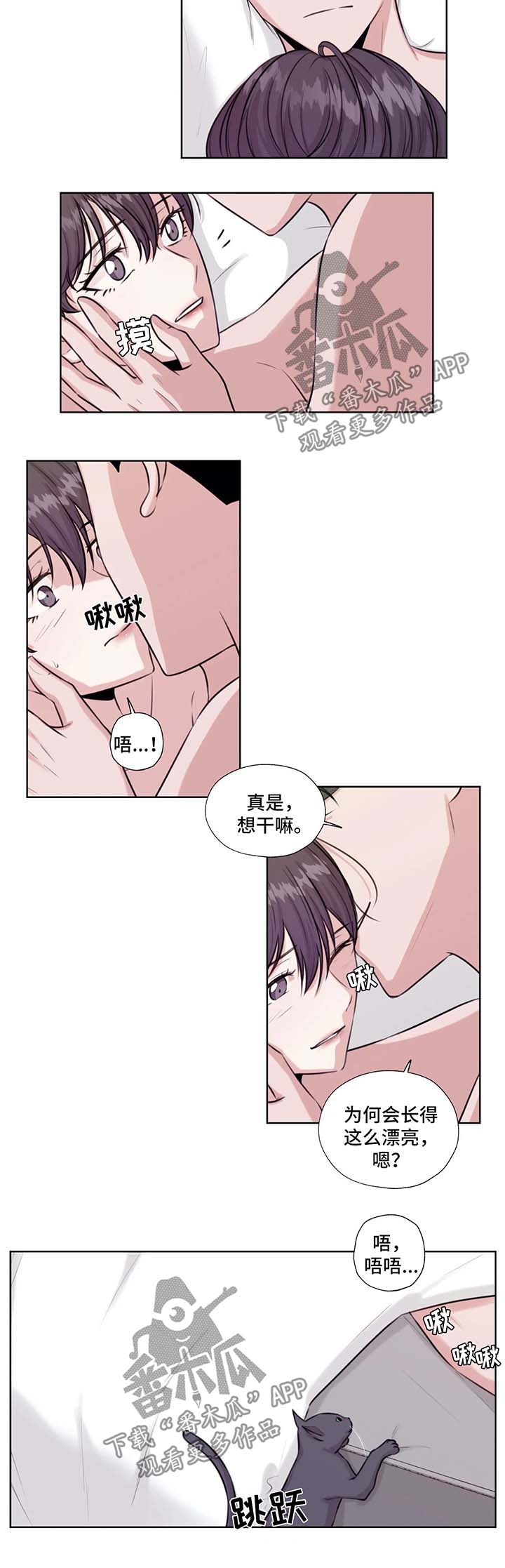 永恒的生命漫画,第46章：在这生活吧3图
