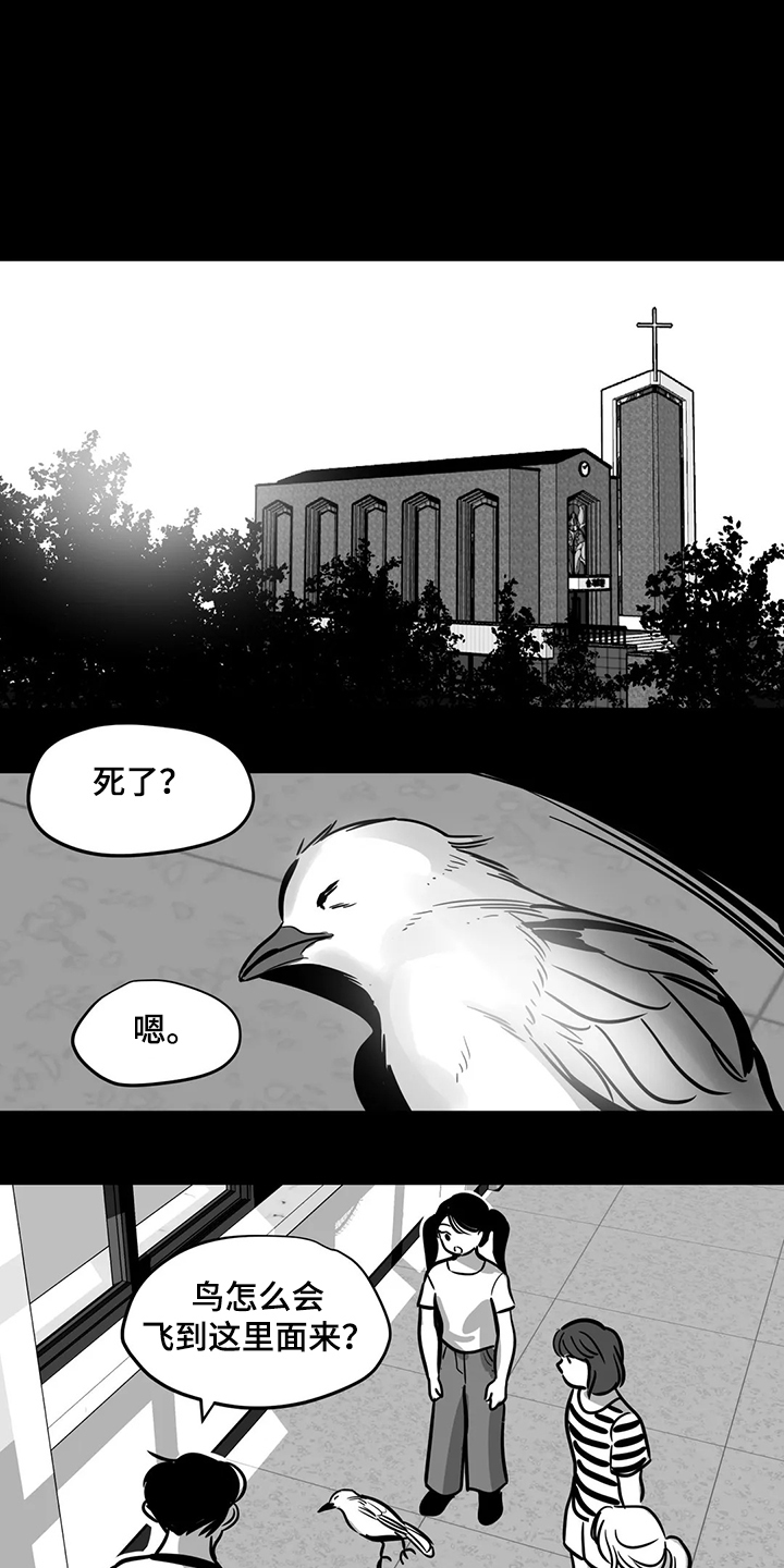 鸠占鹊巢同义词漫画,第65章：【第二季】撞死的鸟1图